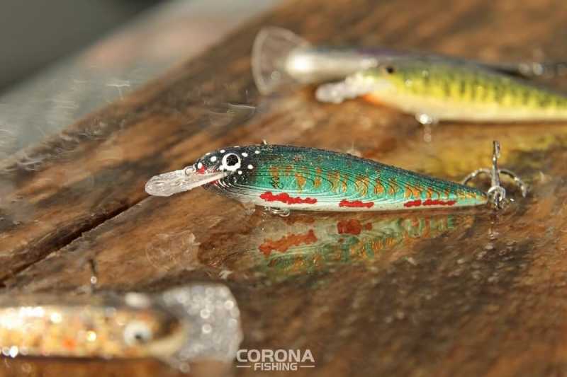 woblery szuszkiewicza